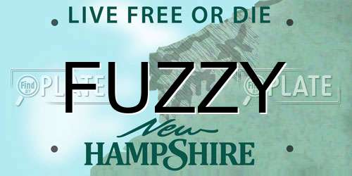 FUZZY New Hampshire License Plate