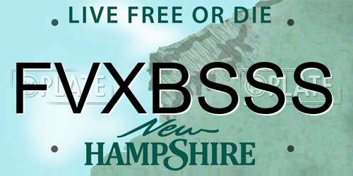 FVXBSSS New Hampshire License Plate