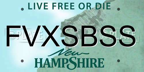 FVXSBSS New Hampshire License Plate
