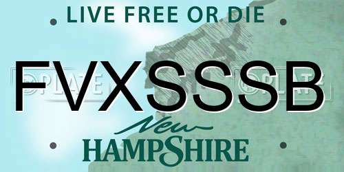 FVXSSSB New Hampshire License Plate