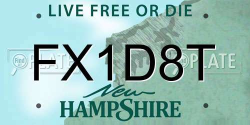 FX1D8T New Hampshire License Plate