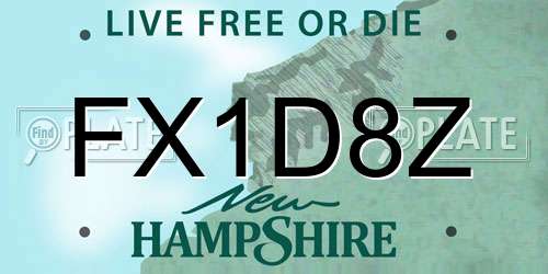 FX1D8Z New Hampshire License Plate