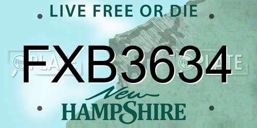 FXB3634 New Hampshire License Plate