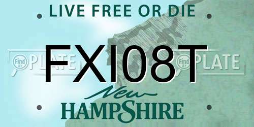 FXI08T New Hampshire License Plate