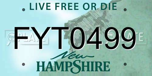 FYT0499 New Hampshire License Plate