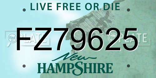 FZ79625 New Hampshire License Plate