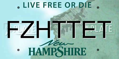 FZHTTET New Hampshire License Plate