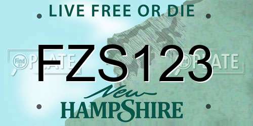 FZS123 New Hampshire License Plate