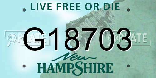 G18703 New Hampshire License Plate