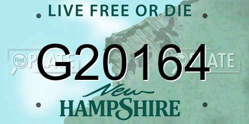 G20164 New Hampshire License Plate