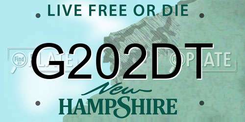 G202DT New Hampshire License Plate