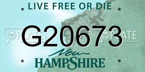 G20673 New Hampshire License Plate