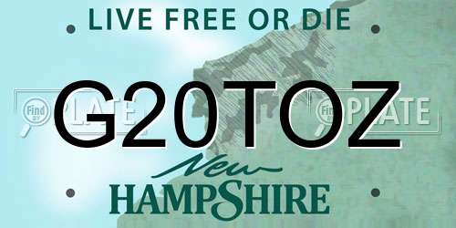 G20TOZ New Hampshire License Plate