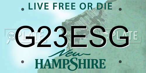 G23ESG New Hampshire License Plate