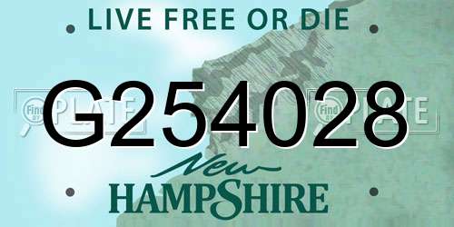 G254028 New Hampshire License Plate