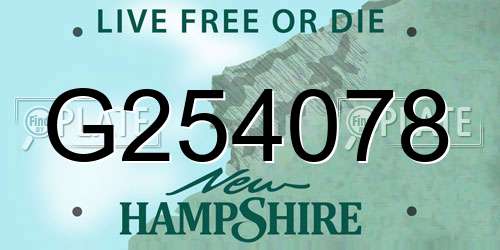 G254078 New Hampshire License Plate