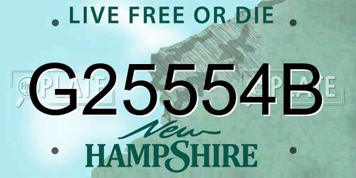 G25554B New Hampshire License Plate