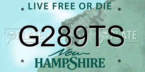 G289TS New Hampshire License Plate