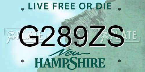 G289ZS New Hampshire License Plate