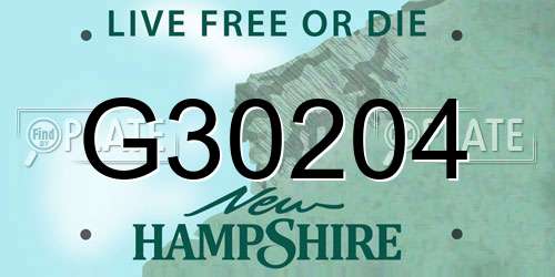 G30204 New Hampshire License Plate