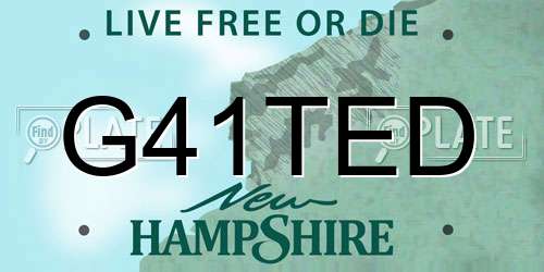 G41TED New Hampshire License Plate