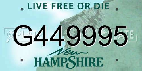 G449995 New Hampshire License Plate
