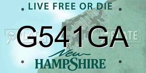 G541GA New Hampshire License Plate