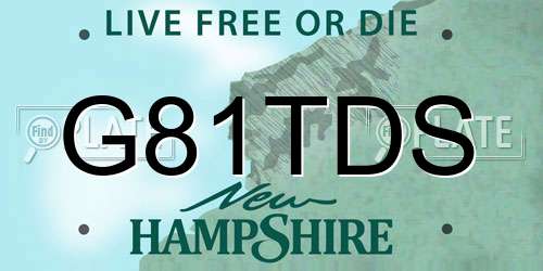 G81TDS New Hampshire License Plate