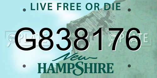 G838176 New Hampshire License Plate