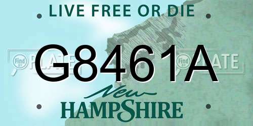 G8461A New Hampshire License Plate