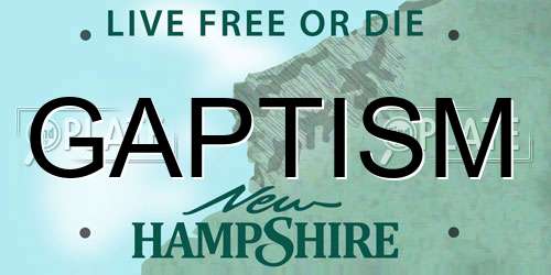 GAPTISM New Hampshire License Plate