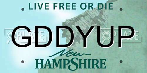 GDDYUP New Hampshire License Plate