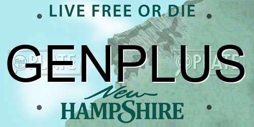 GENPLUS New Hampshire License Plate