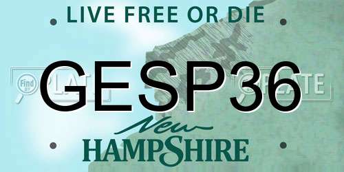 GESP36 New Hampshire License Plate