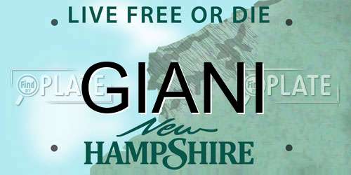 GIANI New Hampshire License Plate