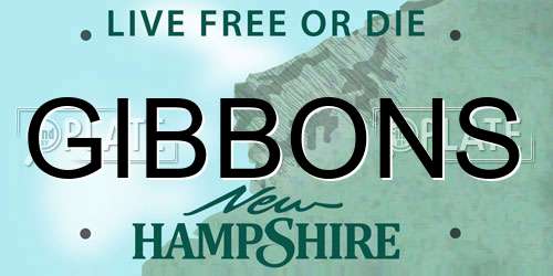 GIBBONS New Hampshire License Plate