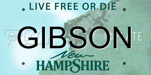 GIBSON New Hampshire License Plate