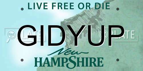 GIDYUP New Hampshire License Plate