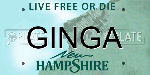 GINGA New Hampshire License Plate