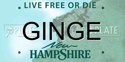 GINGE New Hampshire License Plate