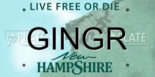 GINGR New Hampshire License Plate