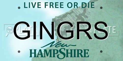 GINGRS New Hampshire License Plate
