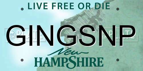 GINGSNP New Hampshire License Plate