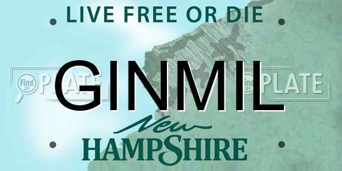 GINMIL New Hampshire License Plate