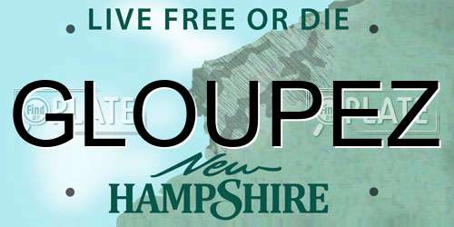 GLOUPEZ New Hampshire License Plate