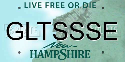 GLTSSSE New Hampshire License Plate