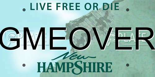 GMEOVER New Hampshire License Plate