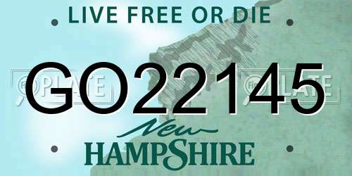 GO22145 New Hampshire License Plate