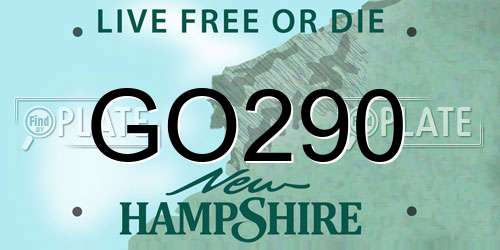 GO290 New Hampshire License Plate
