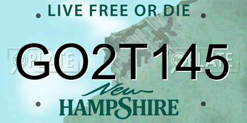GO2T145 New Hampshire License Plate